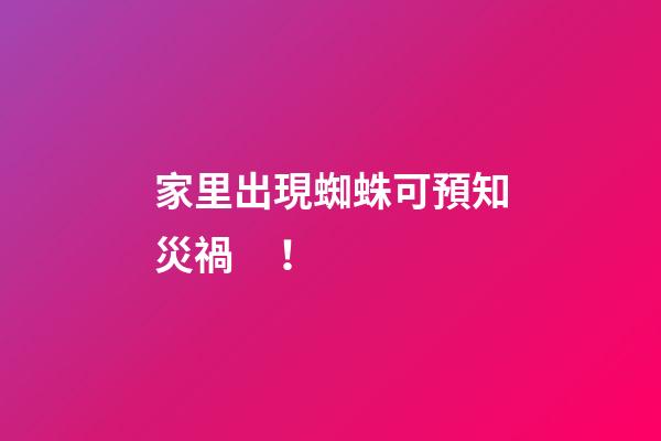 家里出現蜘蛛可預知災禍！
